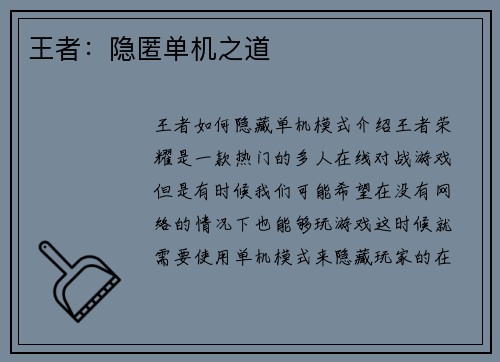 王者：隐匿单机之道